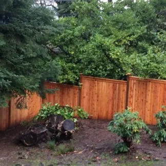 Board-on-board cedar privacy fence with lattice top in wooded backyard